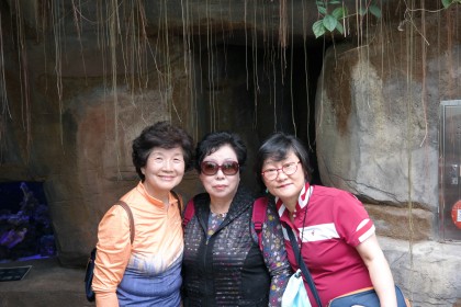 경로봄나들이 서천국립생태원 2